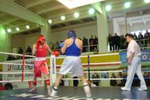 Resize of DSC08546.JPG